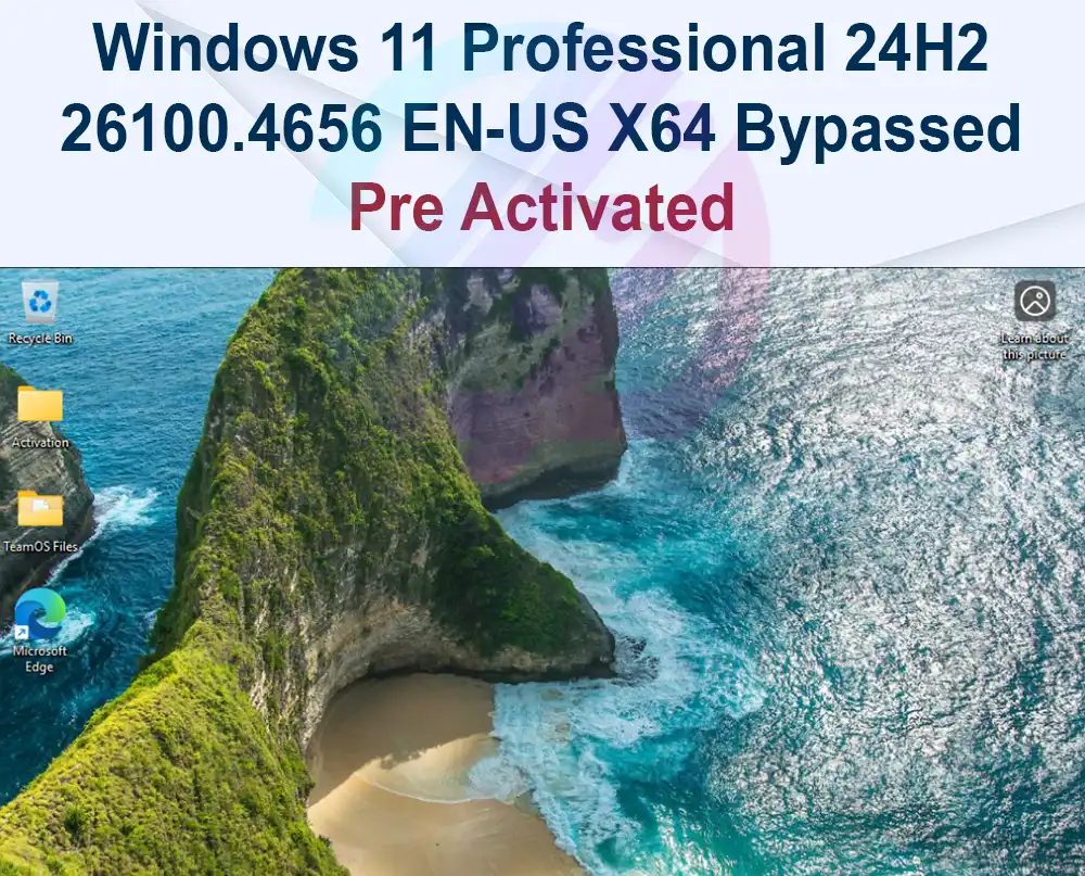 Windows 11 Professional 24H2 26100.4656 EN-US X64 Bypassed & Pre-activated
